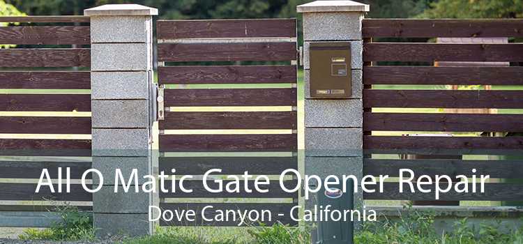 All O Matic Gate Opener Repair Dove Canyon - California