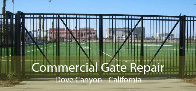 Commercial Gate Repair Dove Canyon - California