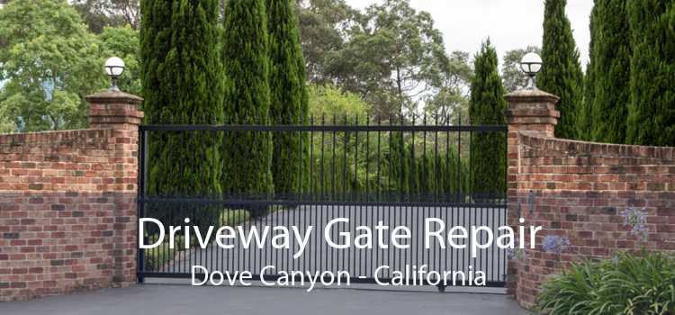 Driveway Gate Repair Dove Canyon - California