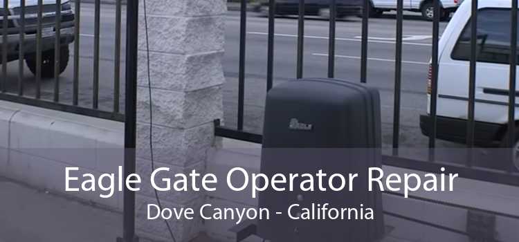 Eagle Gate Operator Repair Dove Canyon - California