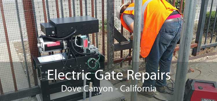 Electric Gate Repairs Dove Canyon - California