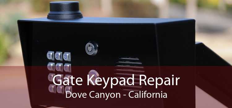 Gate Keypad Repair Dove Canyon - California