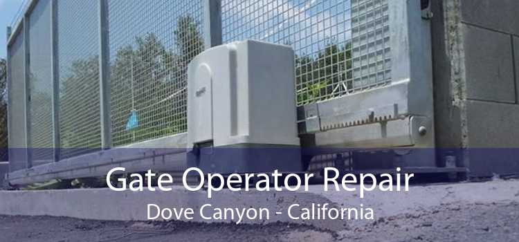 Gate Operator Repair Dove Canyon - California