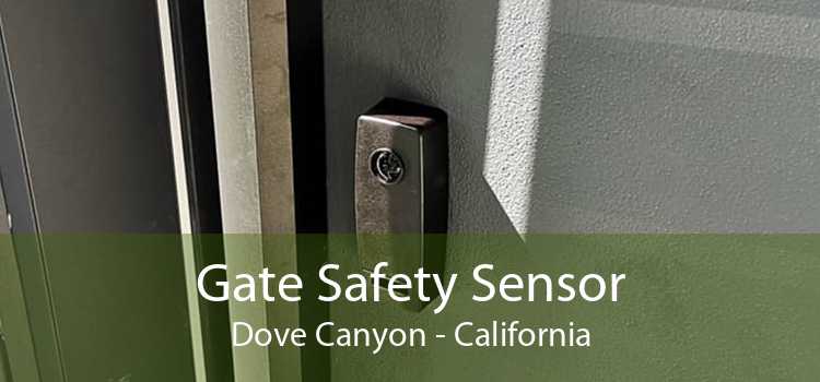 Gate Safety Sensor Dove Canyon - California