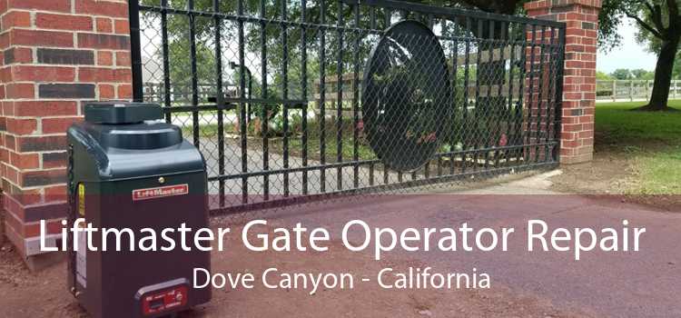 Liftmaster Gate Operator Repair Dove Canyon - California