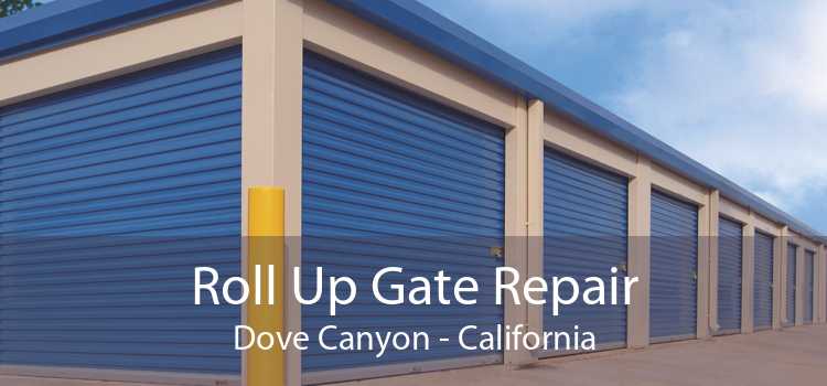 Roll Up Gate Repair Dove Canyon - California